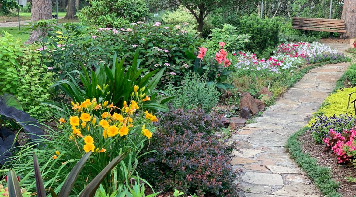 yellow and red flower garden